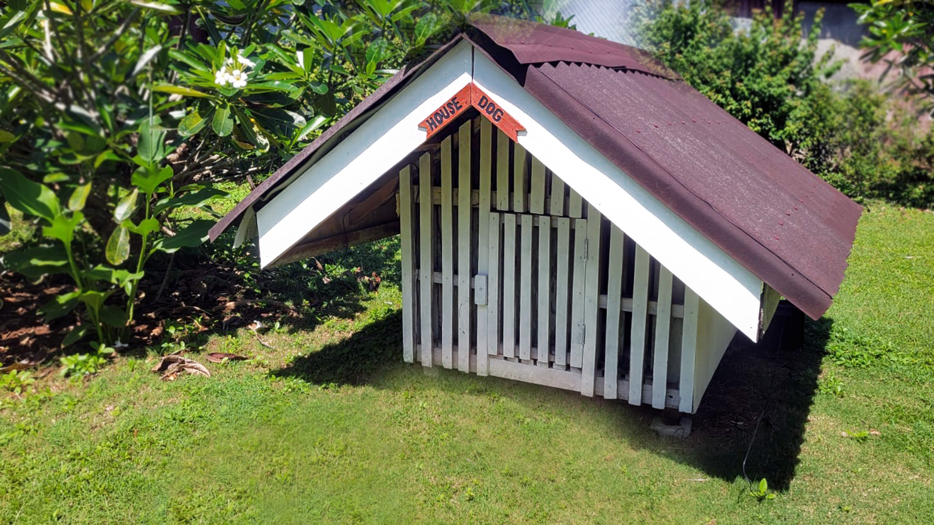 Hunde Haus Kawayan Holiday Resort Siquijor